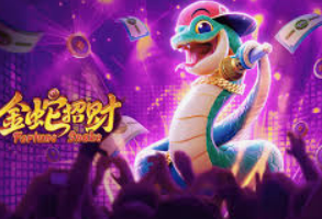 赏金国际vip登录入口