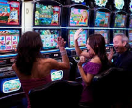 赏金国际vip登录入口免费版