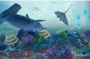 赏金国际vip登录入口正式版